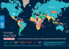 خريطة الجوع في العالم لعام 2020